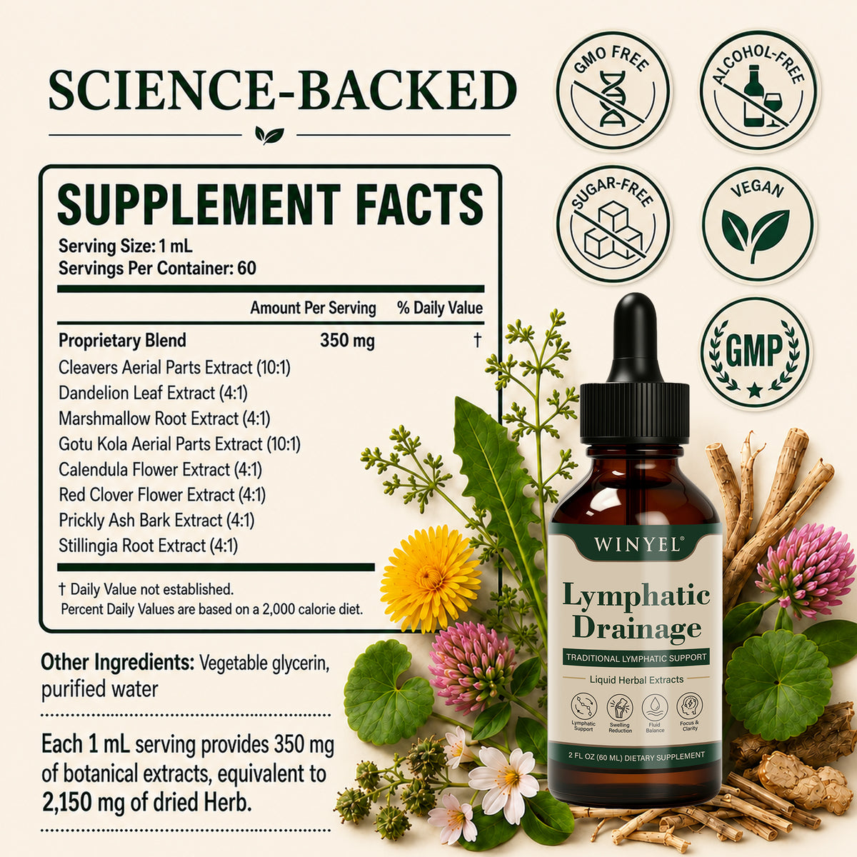 WINYEL Lymphatic Drainage liquid herbal extracts bottle with botanical ingredients.