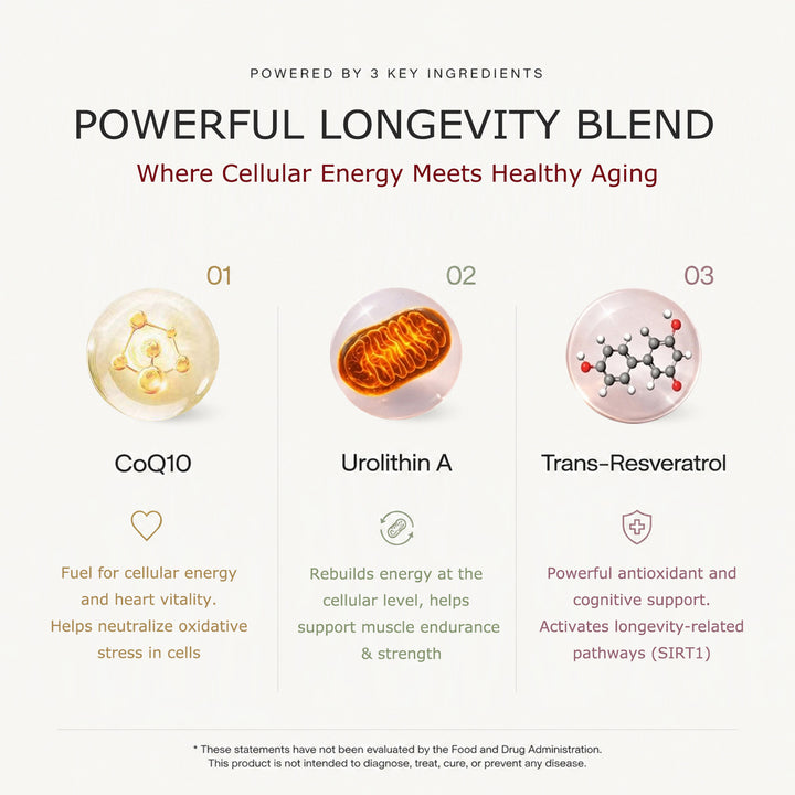 WINYEL longevity blend infographic featuring CoQ10, Urolithin A, and Trans-Resveratrol.