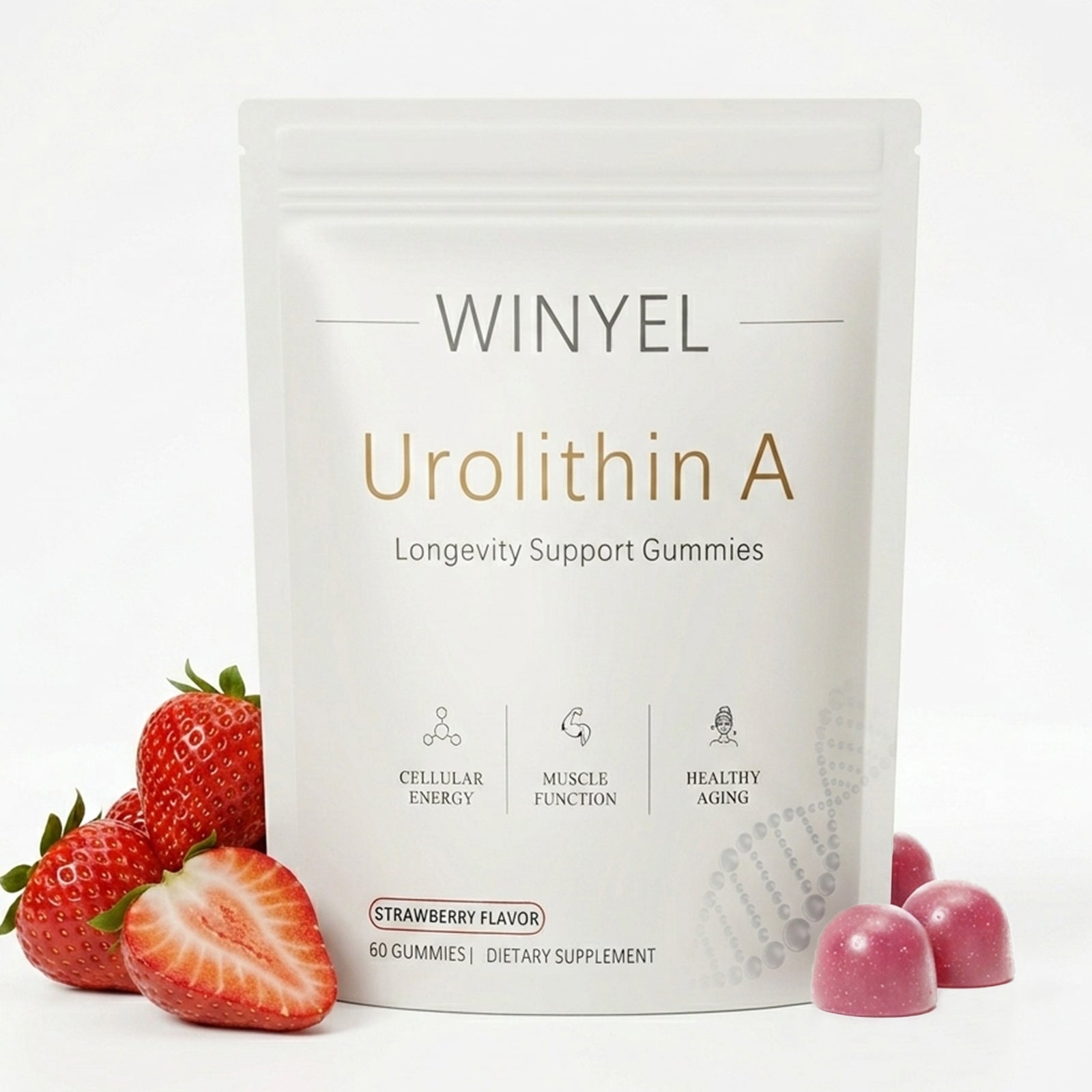 WINYEL Urolithin A 500mg longevity gummies bottle with resveratrol and CoQ10, 60 count