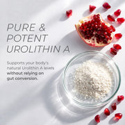 Bowl of Urolithin A powder with pomegranate seeds on a white background