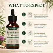 WINYEL Lymphatic Support Drops – 8-Botanical Formula, 60 Servings