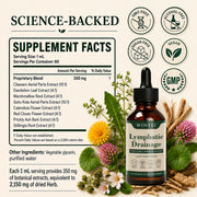 WINYEL Lymphatic Support Drops – 8-Botanical Formula, 60 Servings