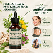 WINYEL Lymphatic Support Drops – 8-Botanical Formula, 60 Servings