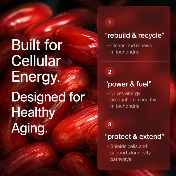 WINYEL Urolithin A softgels with text highlighting mitochondrial energy and healthy aging.