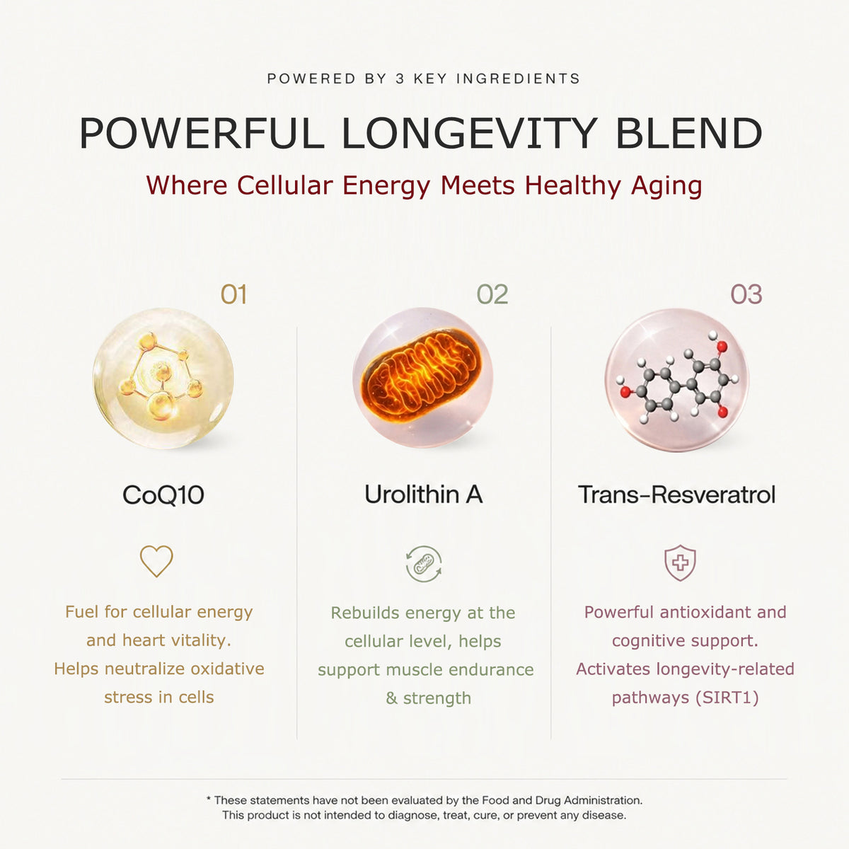 WINYEL longevity blend infographic featuring CoQ10, Urolithin A, and Trans-Resveratrol.